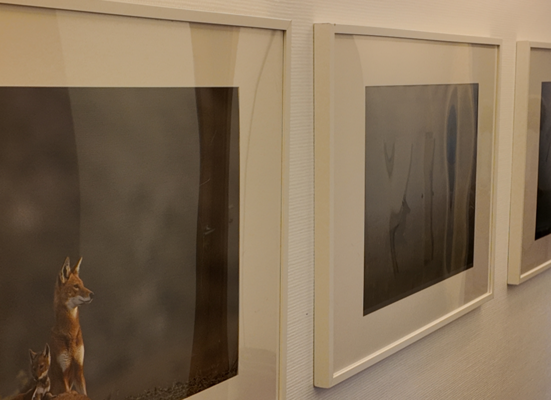 Design ohne Titel (5)